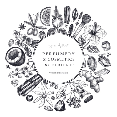 Aromatic plants wreath. Perfumery and cosmetics ingredients banner. Flower, fruit, spice, herb sketches. Hand drawn vector illustration. Packaging design template. 